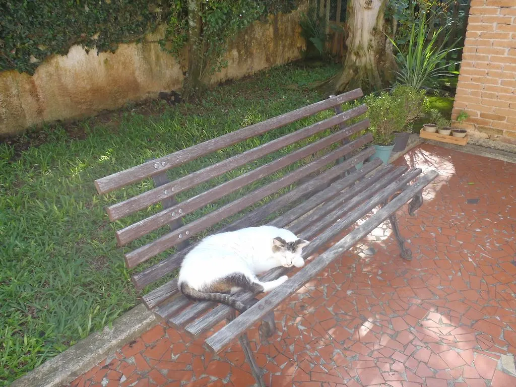 Sunny Interlagos Suite Sao Paulo Homestay