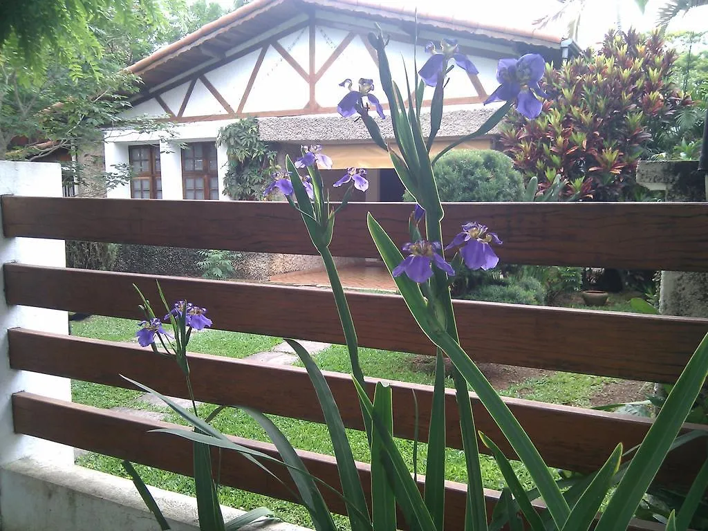 Homestay Sunny Interlagos Suite Sao Paulo